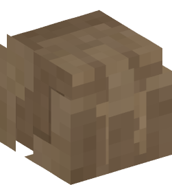 Minecraft head — Decor