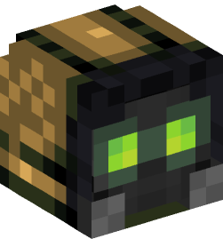 Minecraft head — People