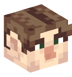 Minecraft head — People