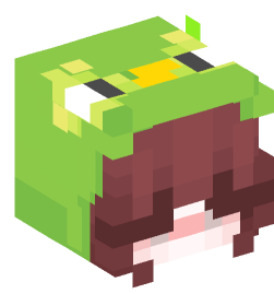 Minecraft head — People