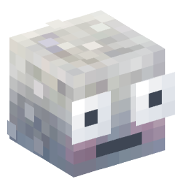 Minecraft head — Miscellaneous