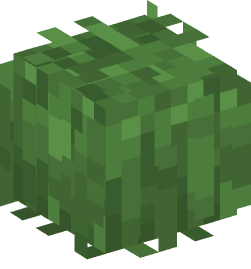 Minecraft head — Plants