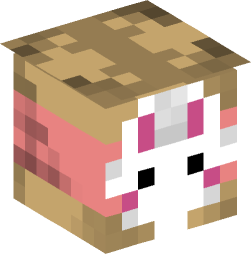 Minecraft head — Decor