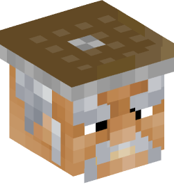 Minecraft head — People