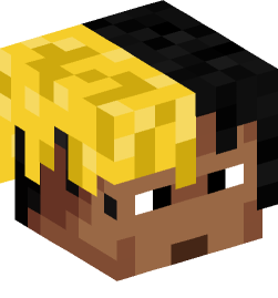 Minecraft head — People
