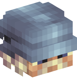 Minecraft head — Blocks