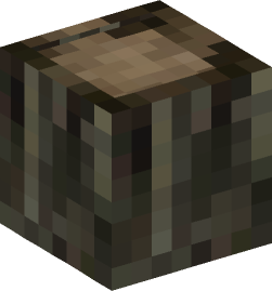 Minecraft head — Blocks