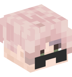 Minecraft head — People