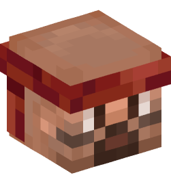 Minecraft head — People