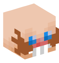 Minecraft head — People