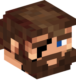 Minecraft head — People