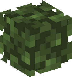 Minecraft head — Plants