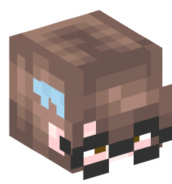 Minecraft head — People