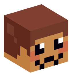 Minecraft head — Miscellaneous