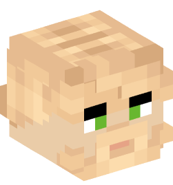 Minecraft head — People