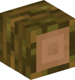 Minecraft head — Blocks