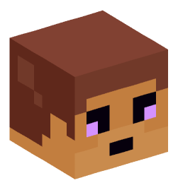 Minecraft head — Miscellaneous