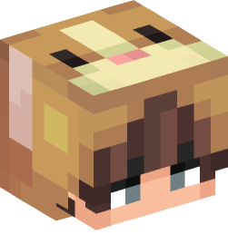 Minecraft head — People