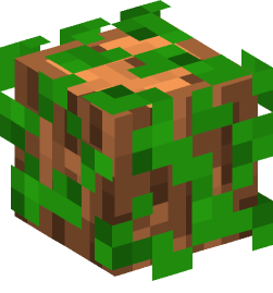 Minecraft head — Decor