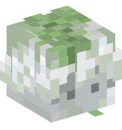 Minecraft head — Decor