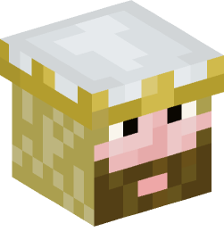 Minecraft head — People