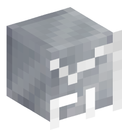 Minecraft head — Miscellaneous