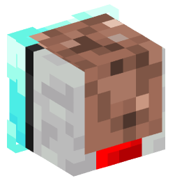 Minecraft head — Decor