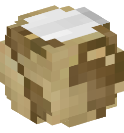 Minecraft head — Decor