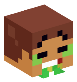 Minecraft head — Miscellaneous