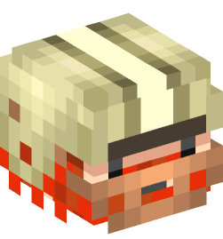 Minecraft head — People