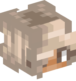 Minecraft head — People