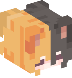 Minecraft head — People