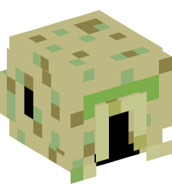 Minecraft head — People