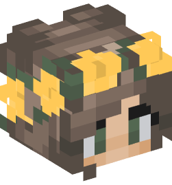 Minecraft head — People