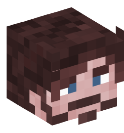 Minecraft head — People