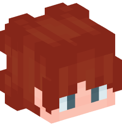 Minecraft head — People