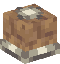 Minecraft head — Decor