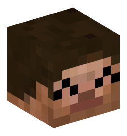 Minecraft head — People