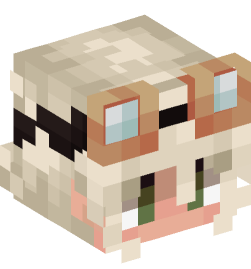 Minecraft head — People