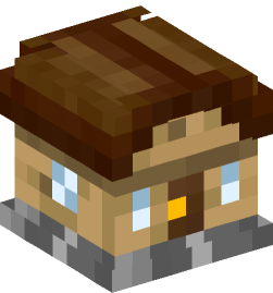 Minecraft head — Decor