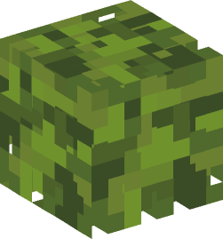 Minecraft head — Plants