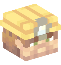 Minecraft head — People