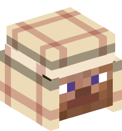 Minecraft head — People