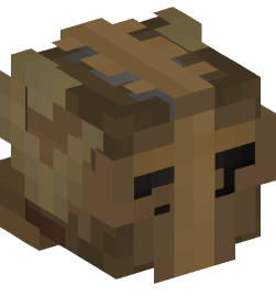 Minecraft head — People