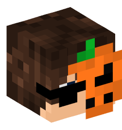 Minecraft head — People