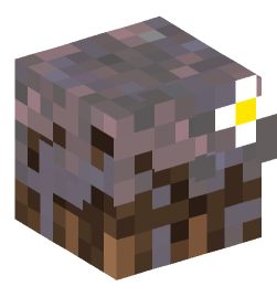 Minecraft head — Blocks