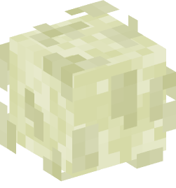 Minecraft head — Miscellaneous