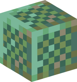 Minecraft head — Blocks