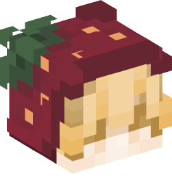 Minecraft head — People