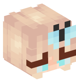 Minecraft head — People